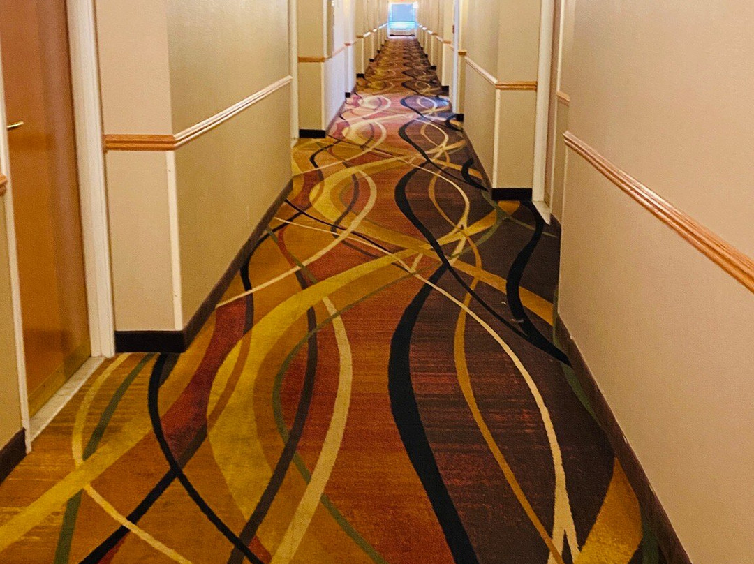 Comfort Inn & Suites主图