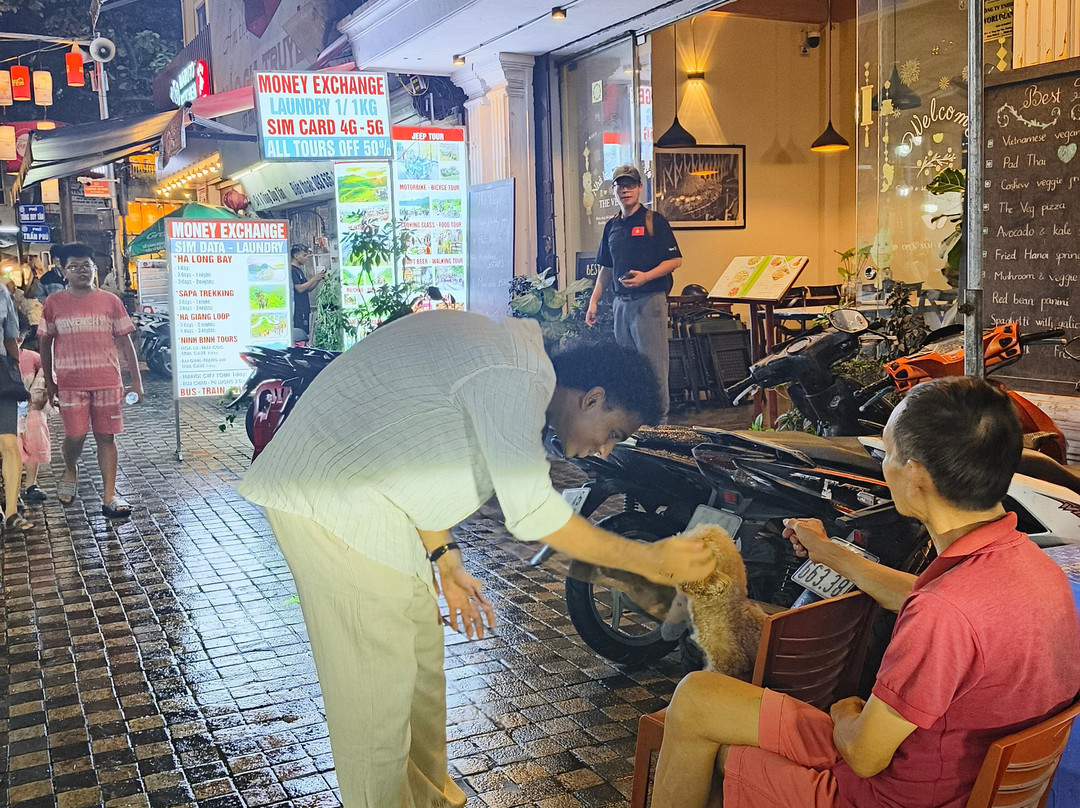 Maia Cruise-下龙湾必去景点