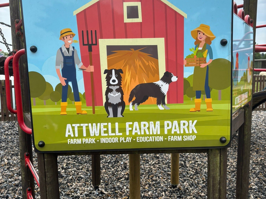 Attwell Farm Park-雷迪奇必去景点