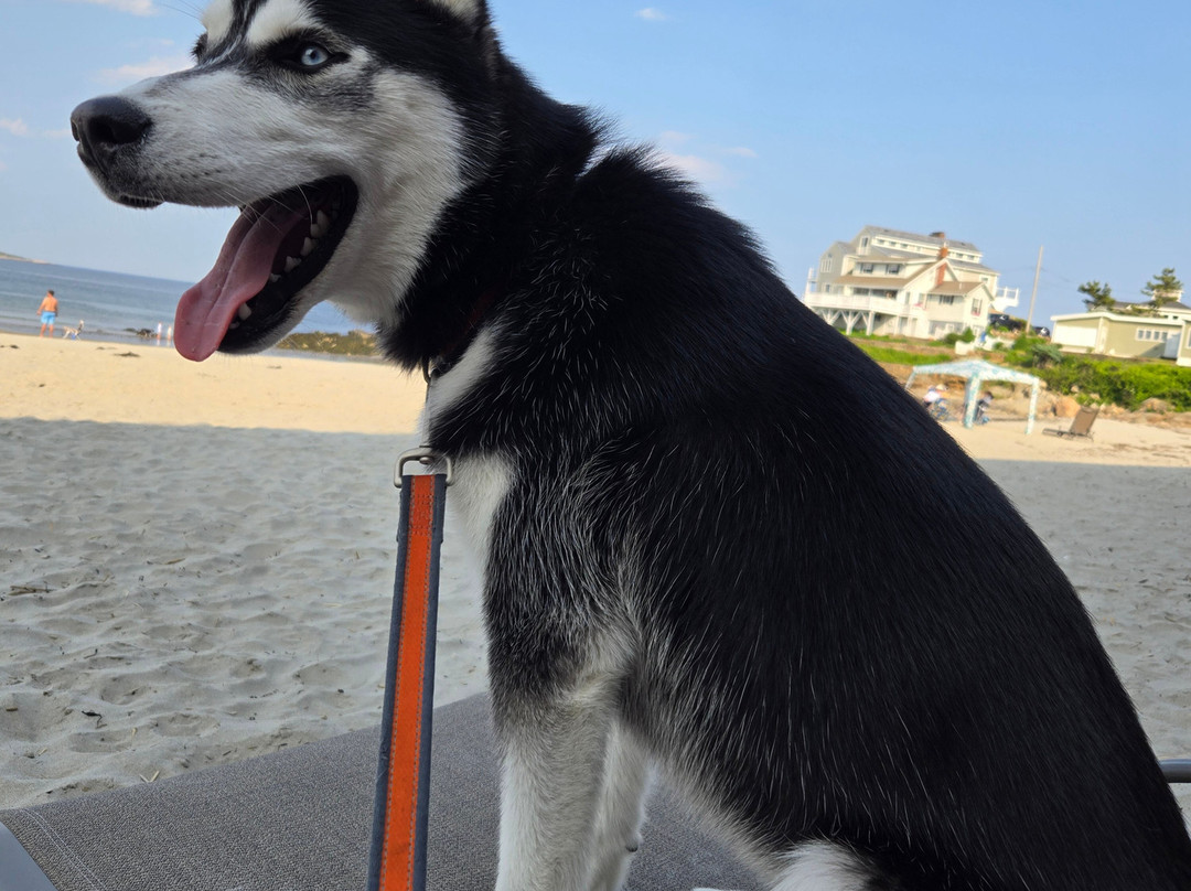 Cape Ann Motor Inn主图