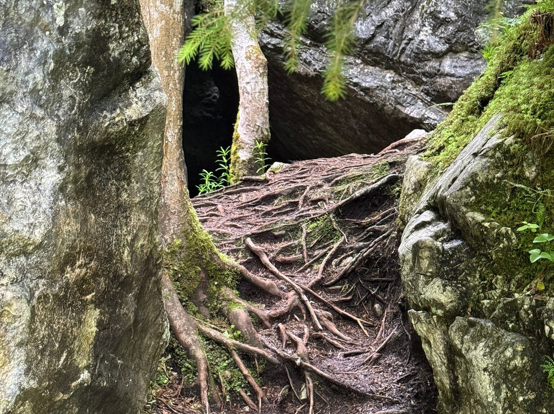 Zauberwald am Hintersee-拉姆绍必去景点