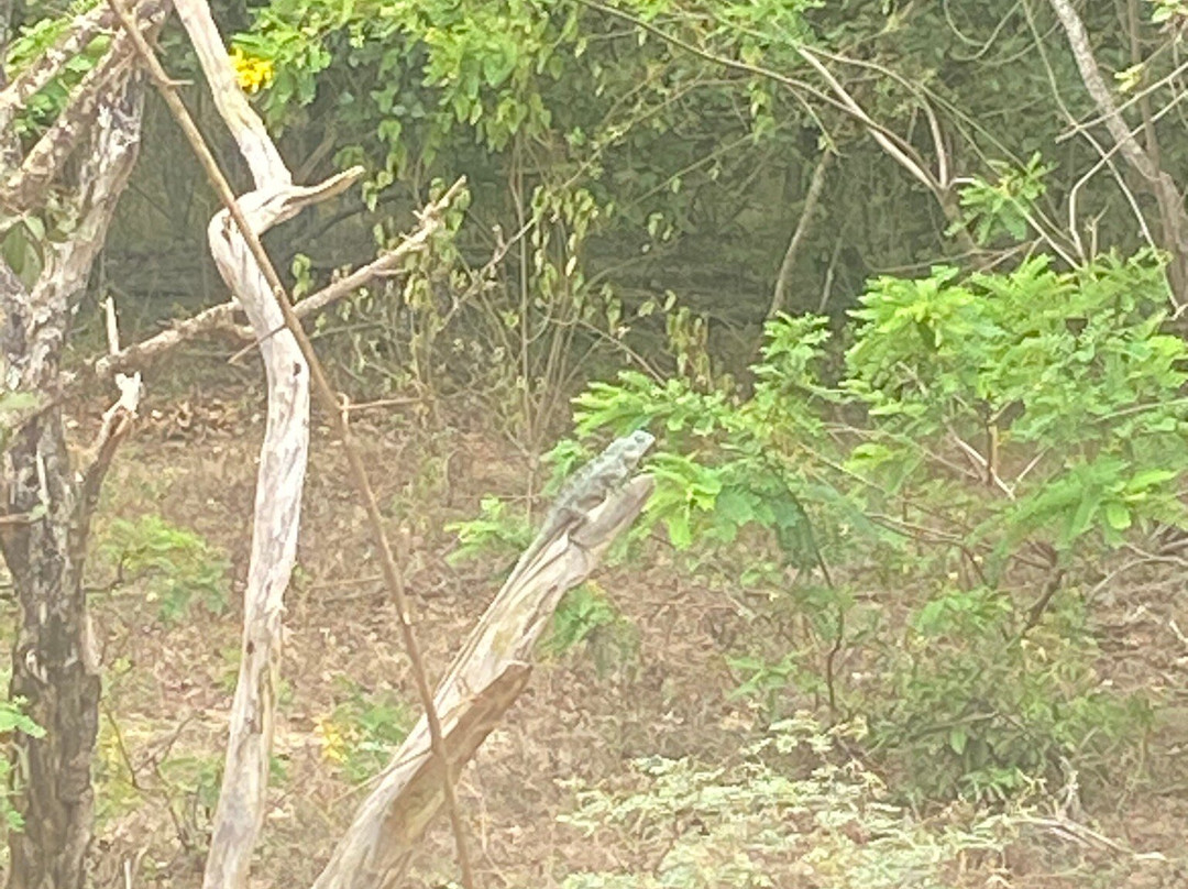 Tangalle Local Experience tours-唐卡拉必去景点