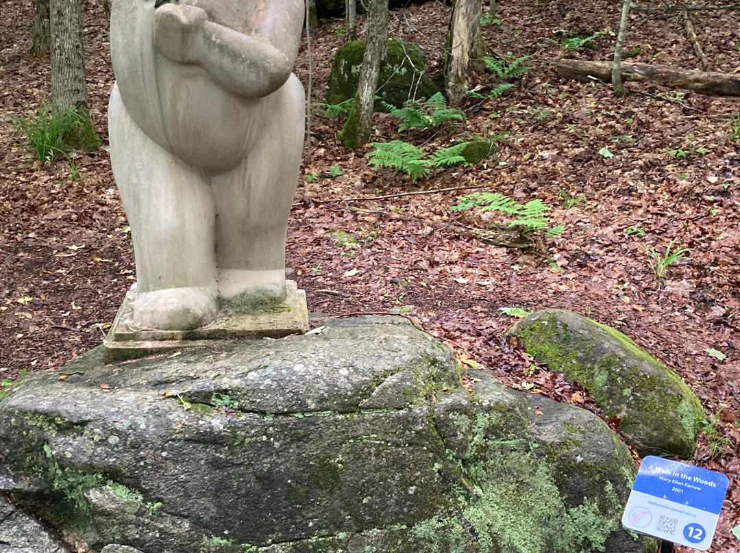 Haliburton Sculpture Forest景点图片
