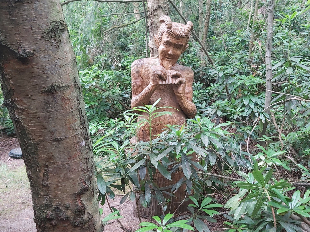 Northwood Trail – England’s Fairy Sanctuary景点图片