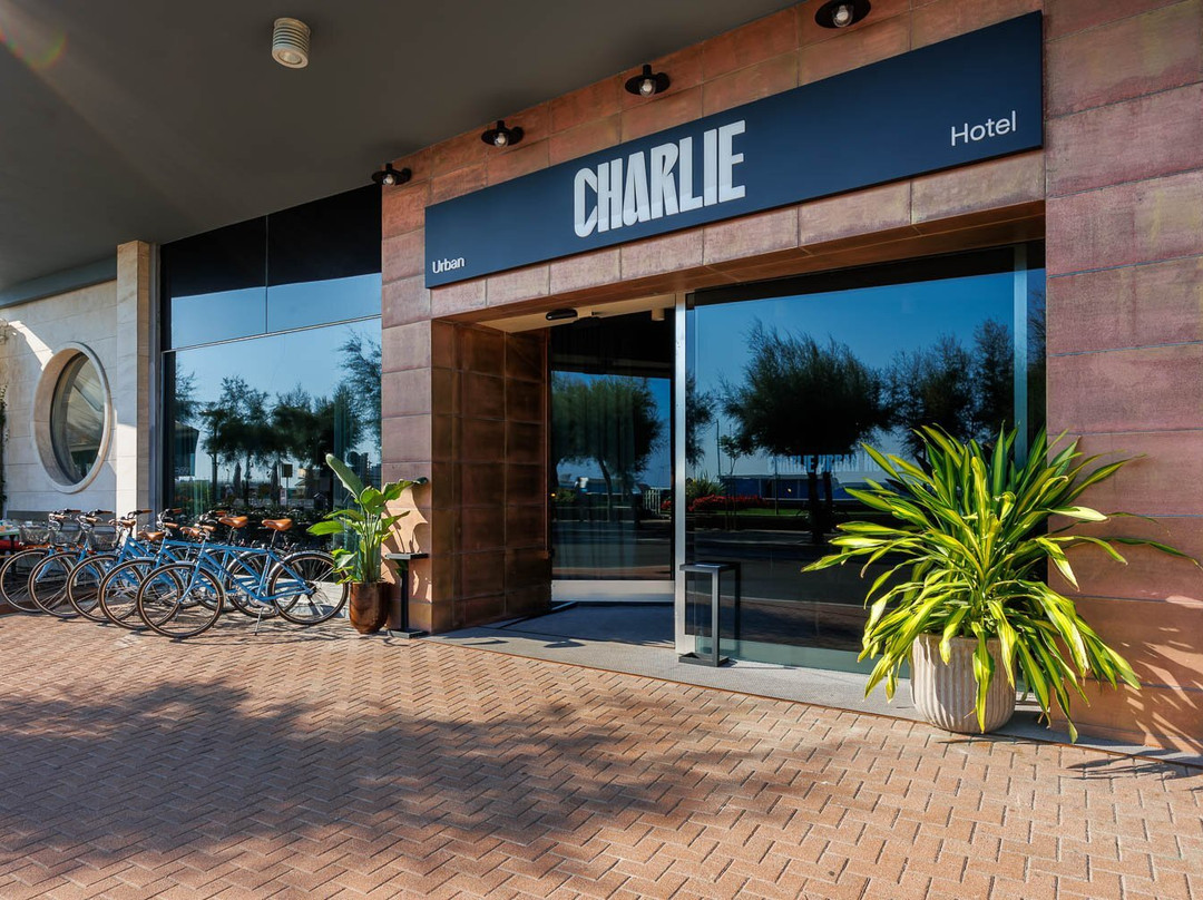 Charlie in Pesaro