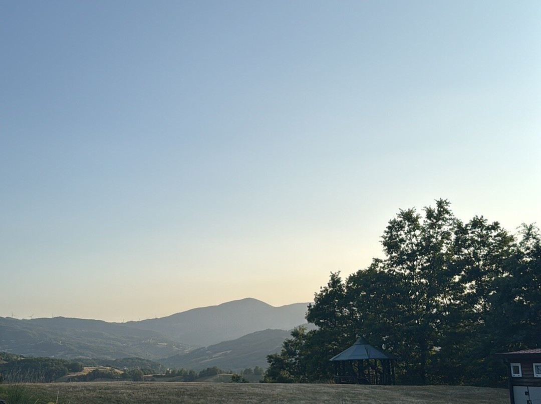 Area Tarolli-Albareto必去景点