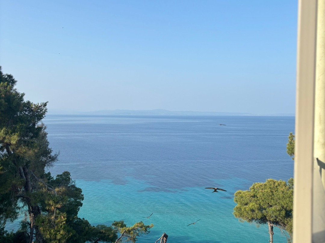 Elies 33 Bio Retreat主图