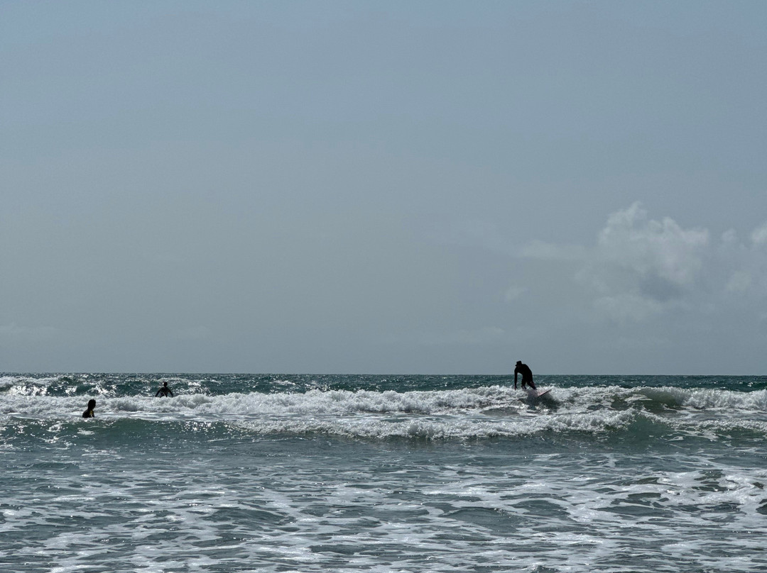 Progress Surf School景点图片