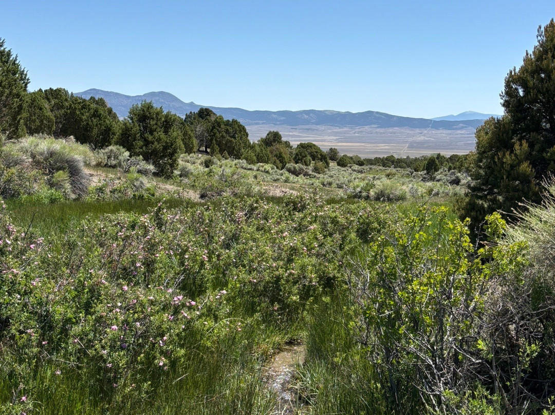 Ward Charcoal Ovens State Historic Park-Ely必去景点