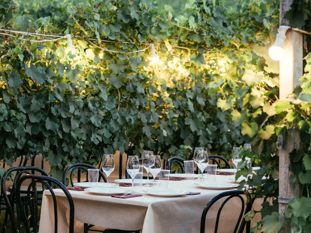 Cantina Baldassarri-Collazzone必去景点