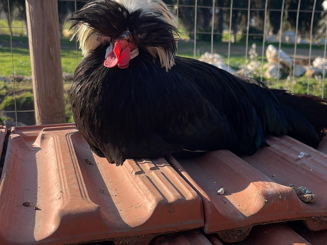 Rifugio Domo Mea-Olmedo必去景点