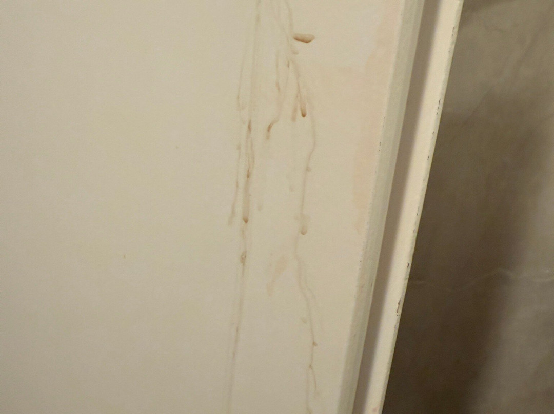 Hotel Minerva Medulin主图