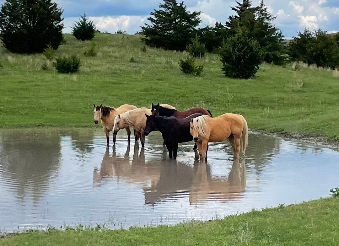 Rowse's 1+1 Ranch-Burwell必去景点