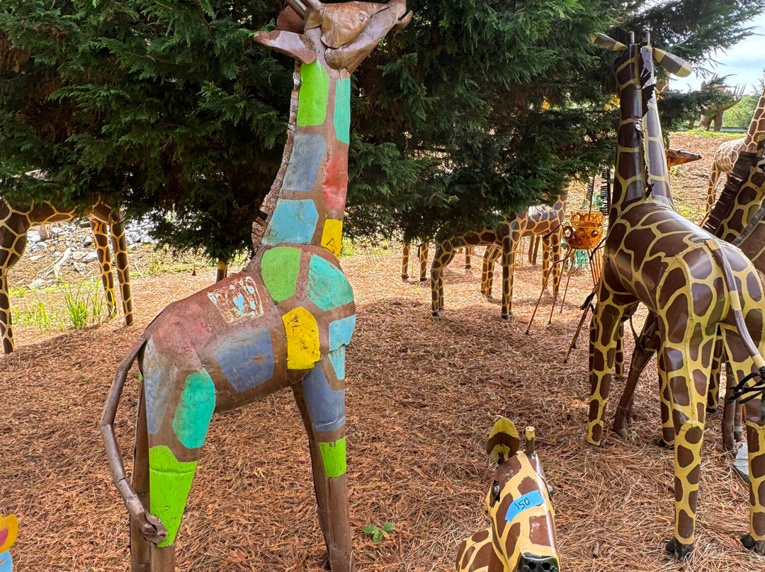 The Zoo Groovy Yard Art景点图片