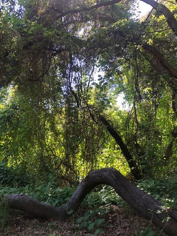 Louis A Stelzer County Park-Lakeside必去景点