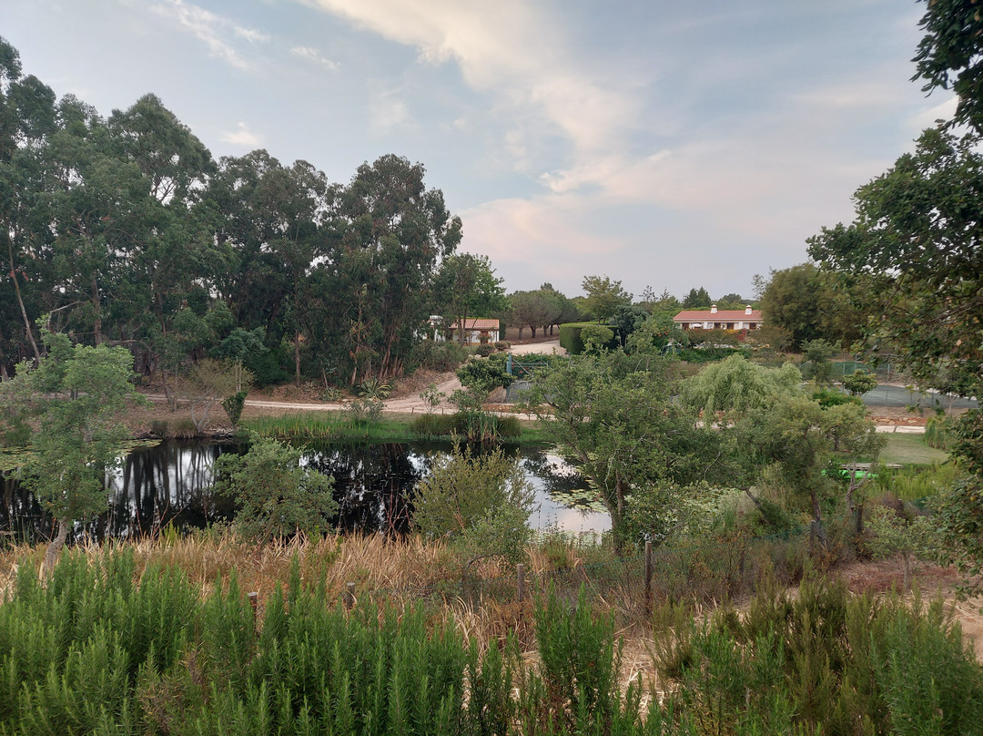 Monte Joao Roupeiro主图