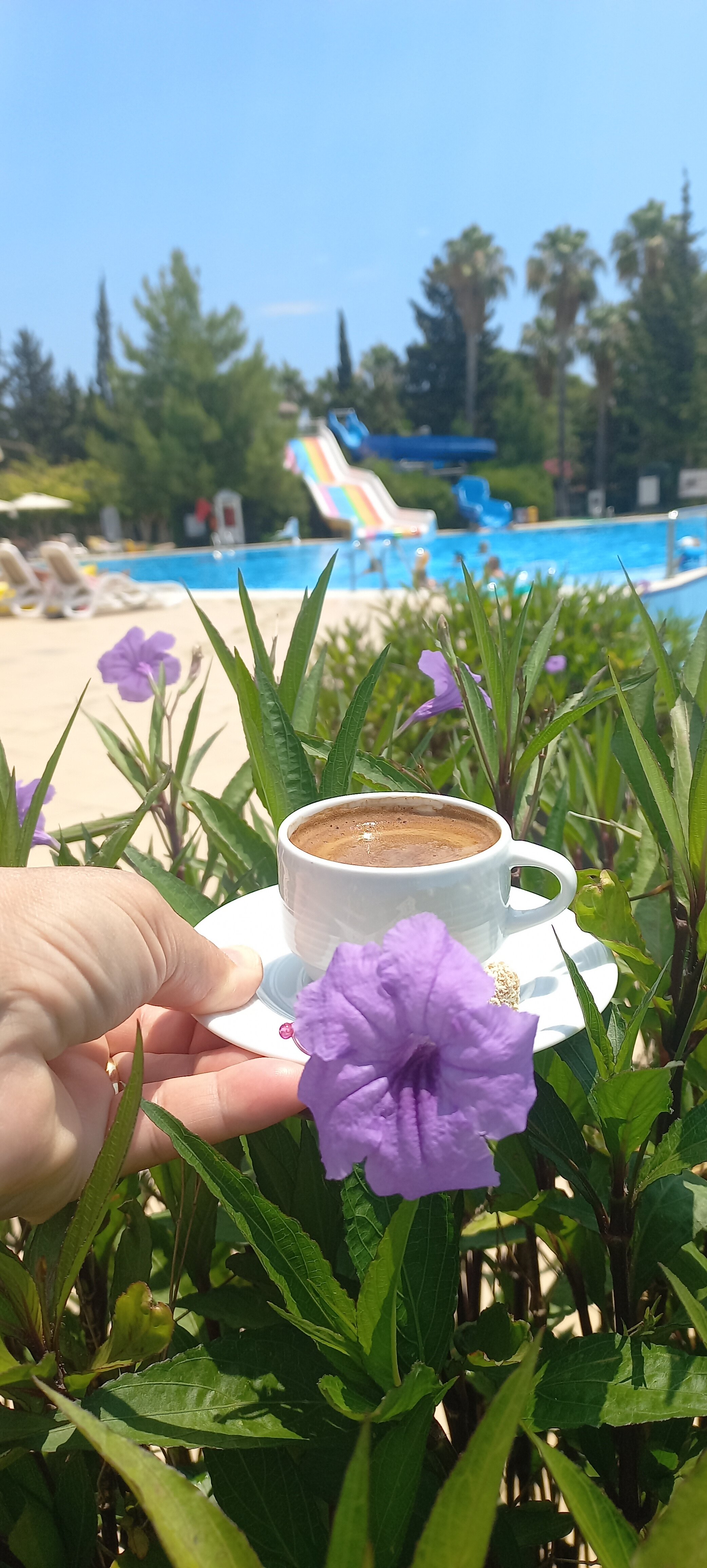 Simena Comfort Hotel-官方