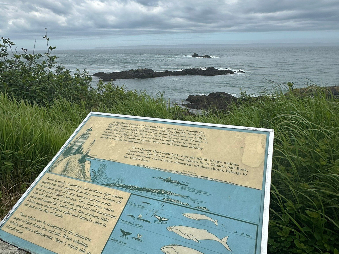 Quoddy Head State Park-Lubec必去景点