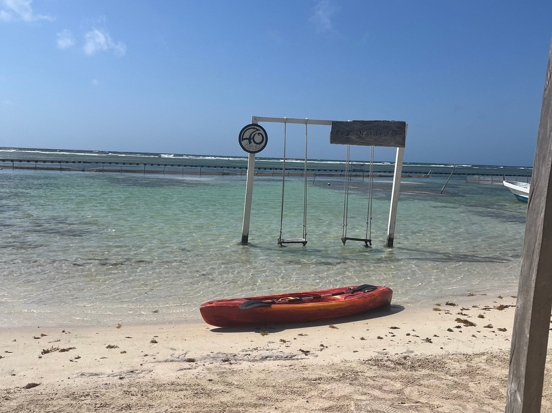 Pez Quadro Beach Club-Mahahual必去景点