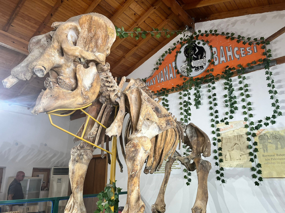 Izmir Wild Life Park-伊兹密尔必去景点
