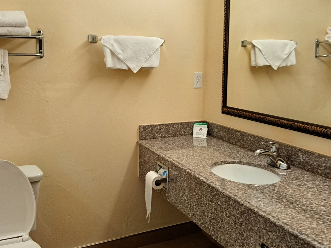 Best Western Greentree Inn & Suites主图