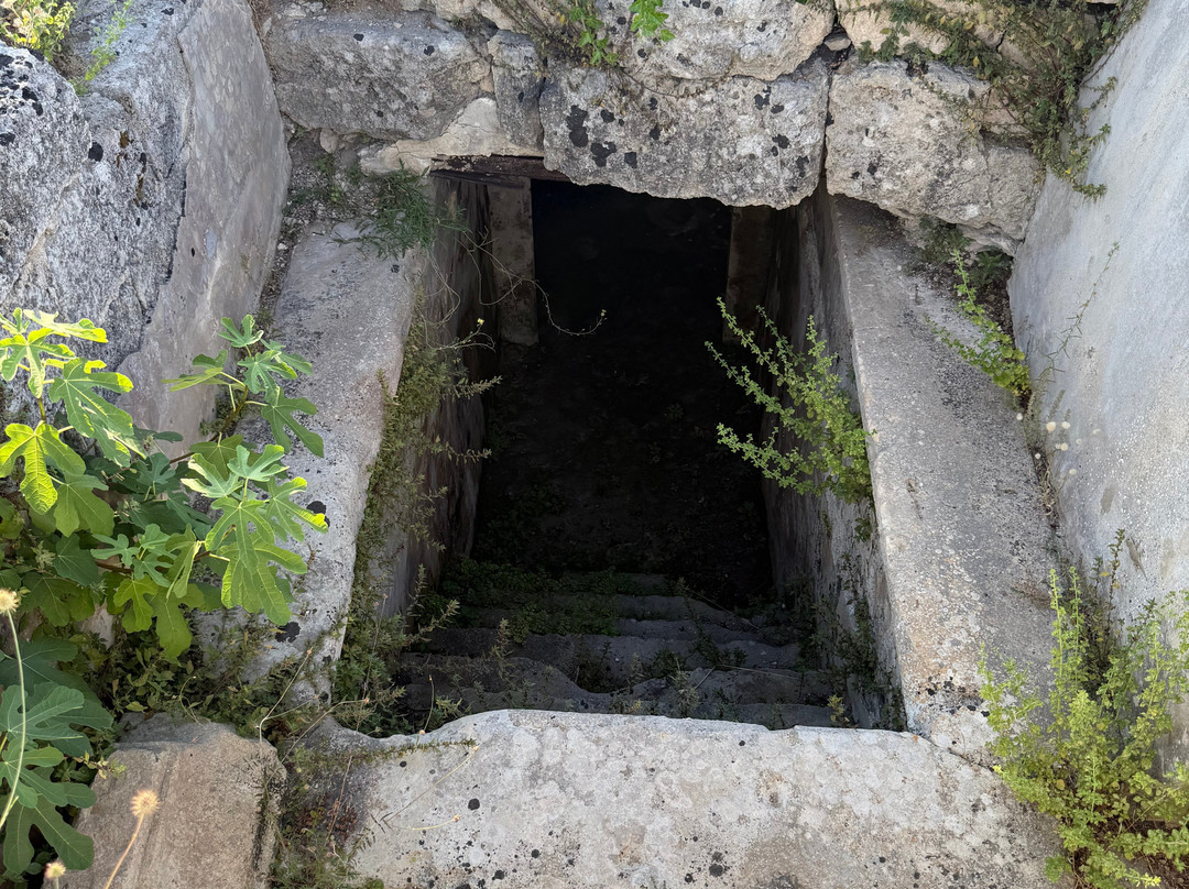 Parco Archeologico Di Rudiae-莱切必去景点