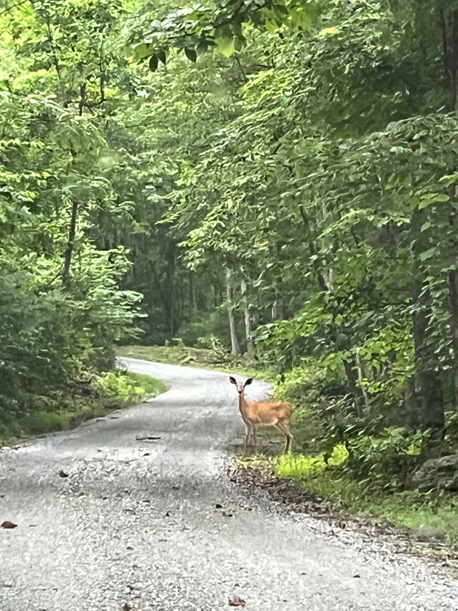 Cedar Post Inn Bed & Breakfast-官方