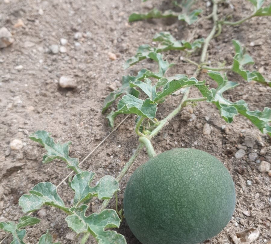 Daan Viljoen Nature Reserve-温德和克必去景点