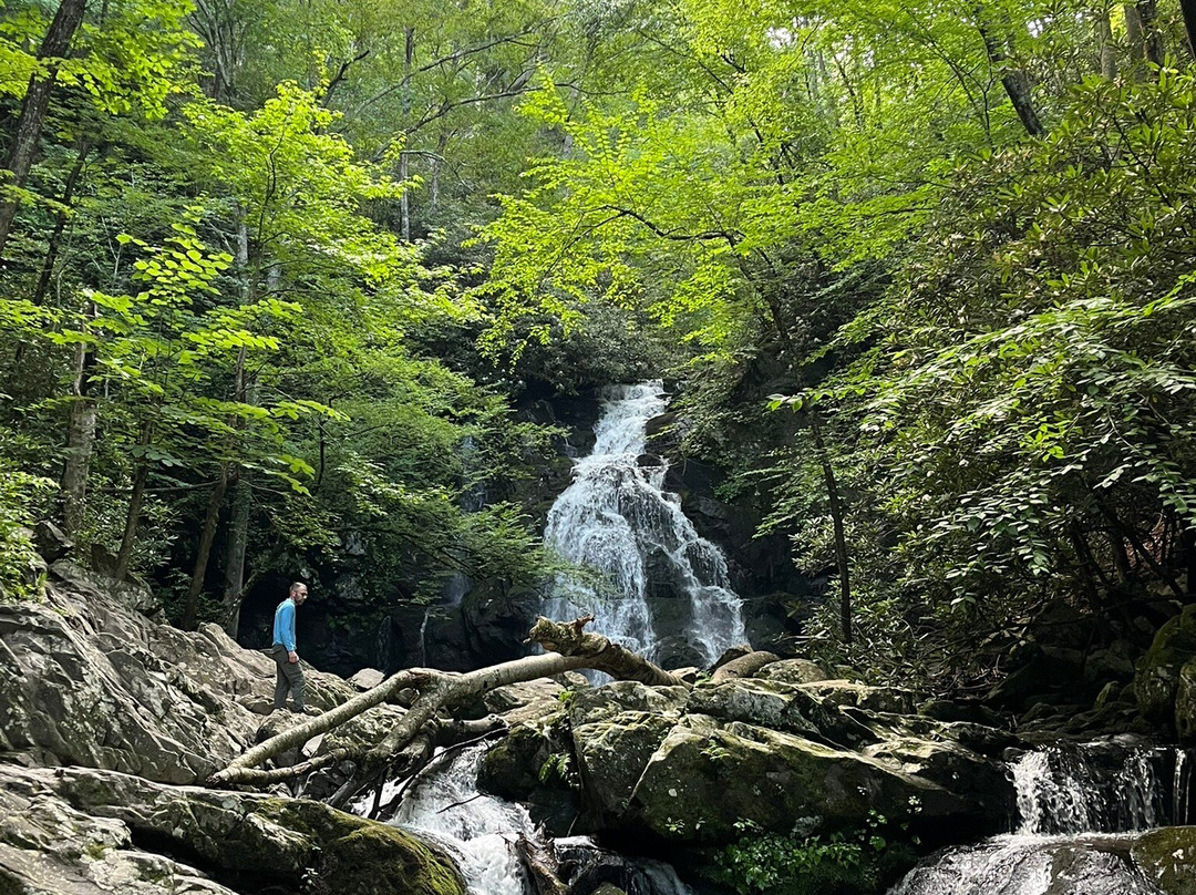 Spruce Flats Falls-大雾山国家公园必去景点