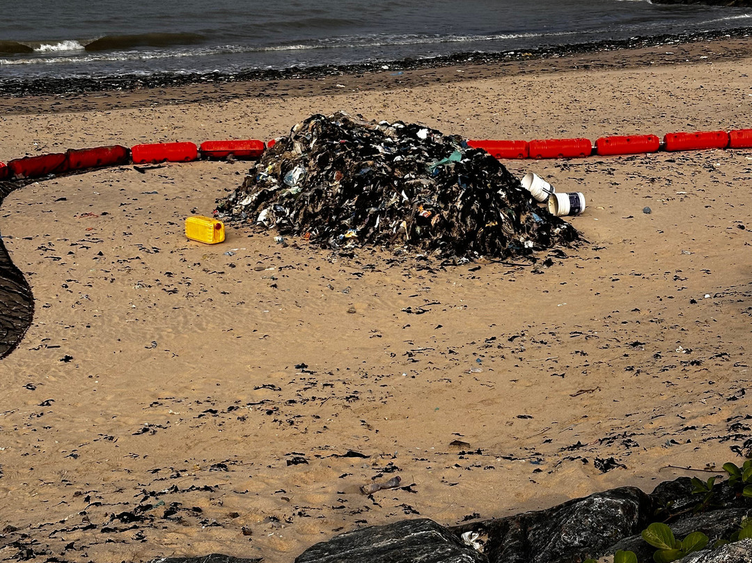 The C Resort & Residences主图