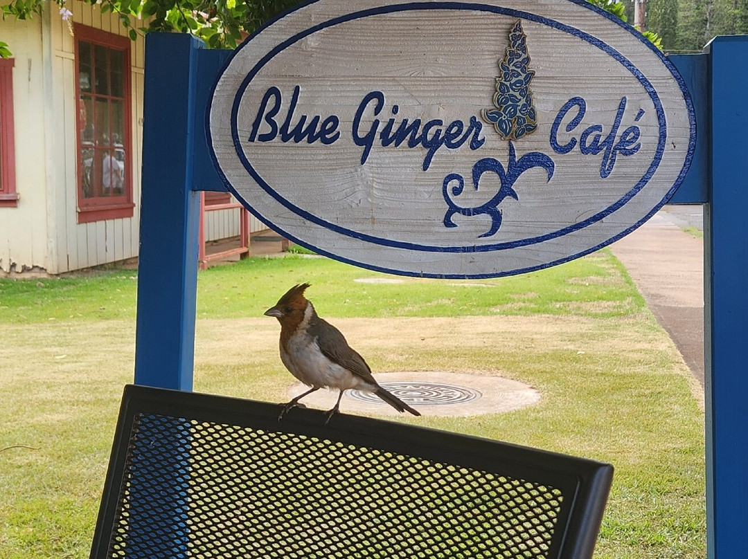 Lanai Jeep Rentals-拉奈市必去景点