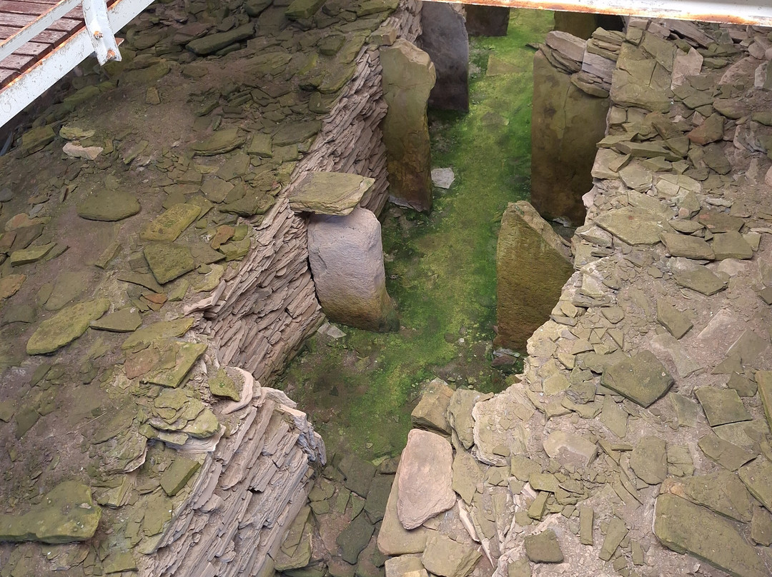 Jp Orkney Tours-Birsay必去景点