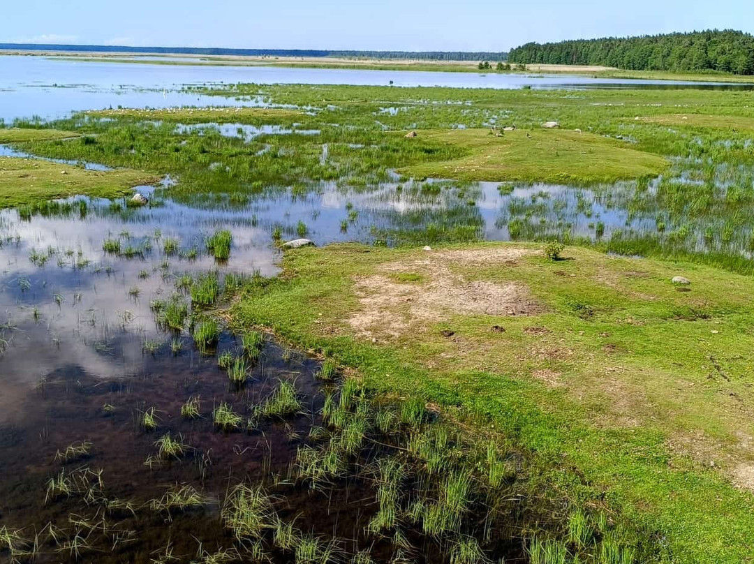Lake Engure Nature Park-Engure必去景点