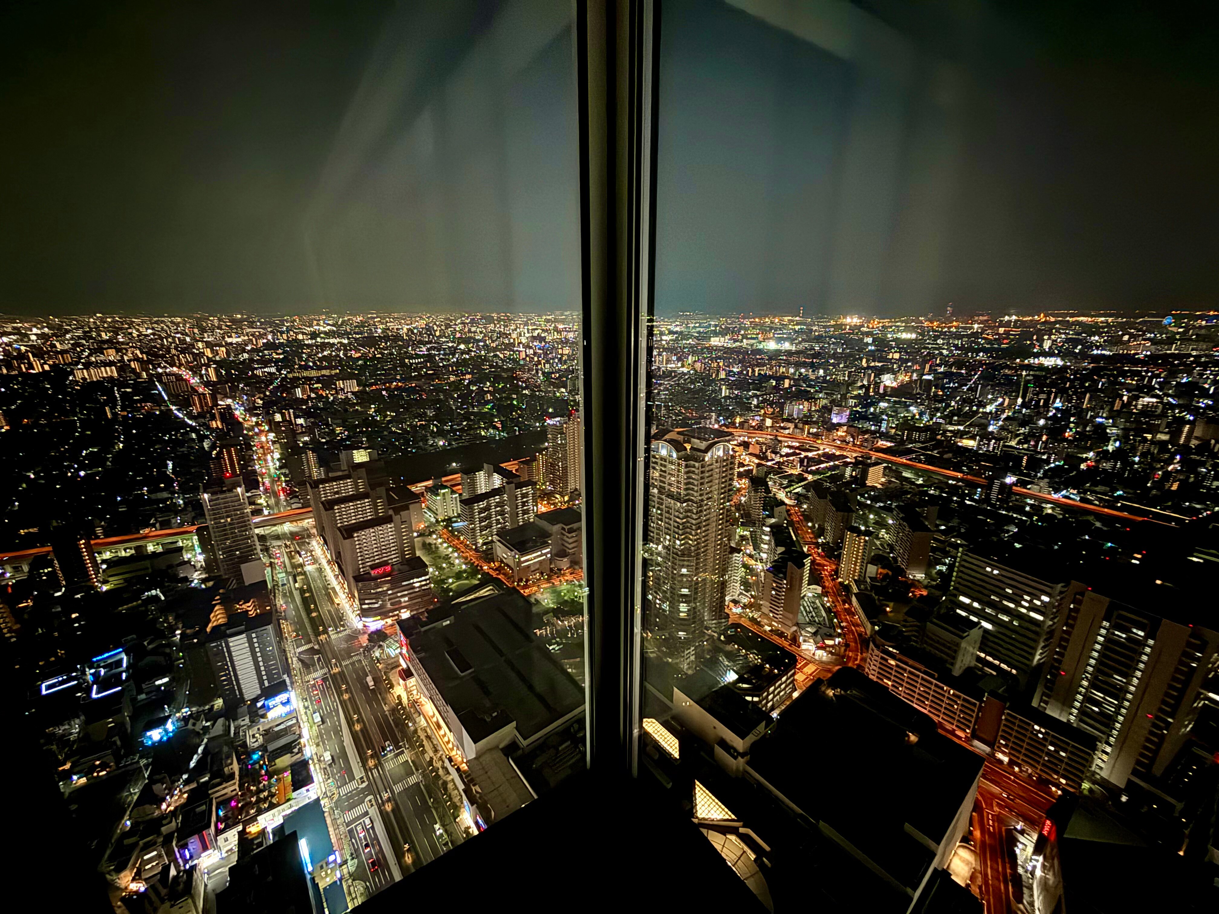 大阪万豪酒店-酒店景观
