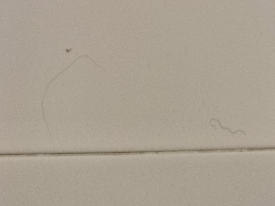 马可波罗凯富酒店主图