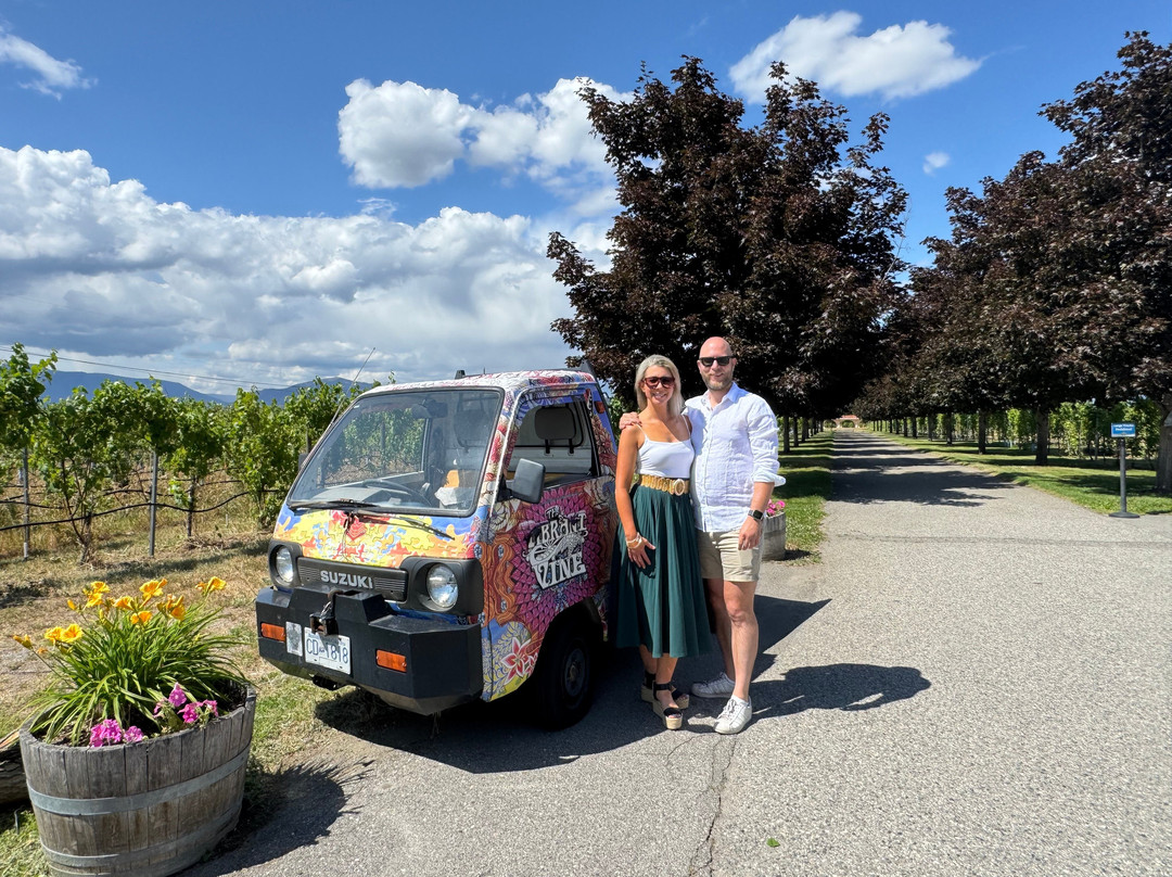 The Vibrant Vine-基洛纳必去景点