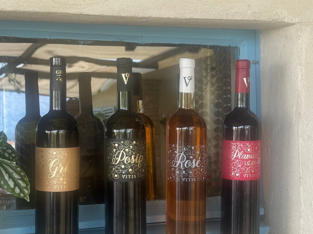 Vitis Winery-伦巴达必去景点