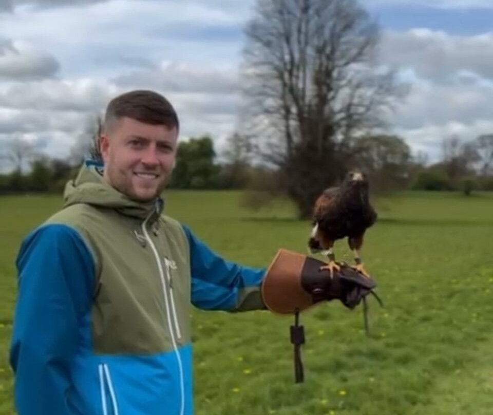 Hawkeye School of Falconry-基尔肯尼必去景点