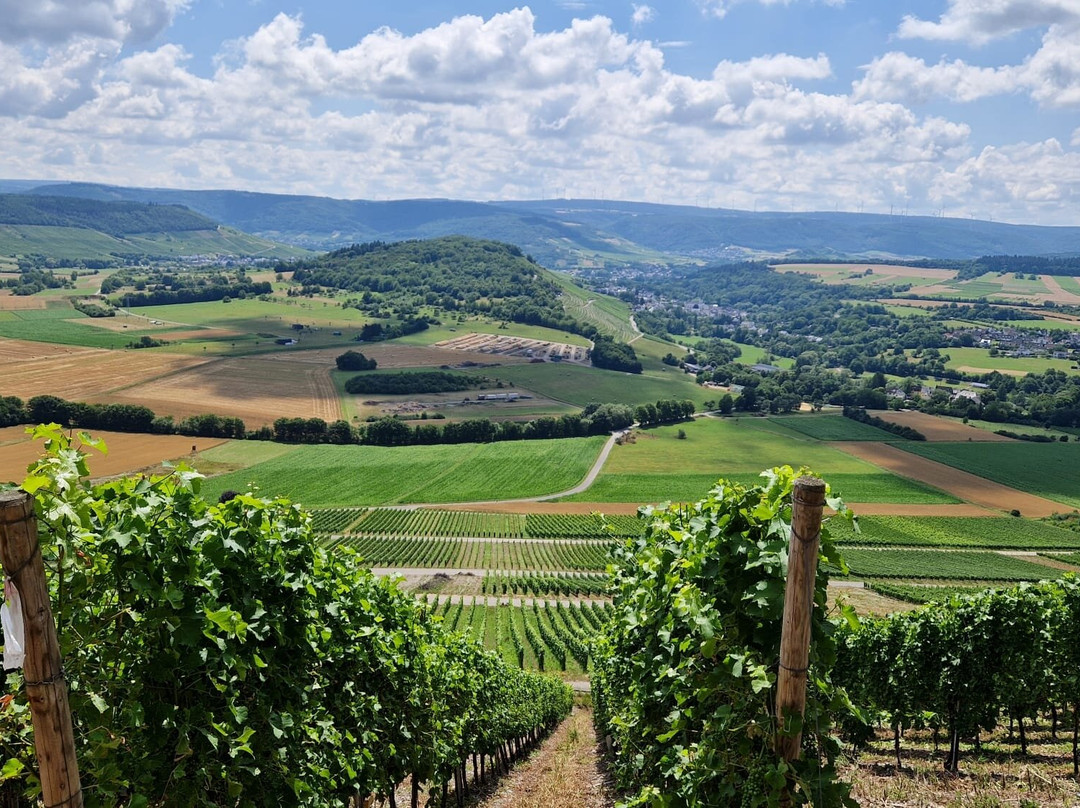 Weingut Gästehaus Jakoby-Maring-Noviand必去景点