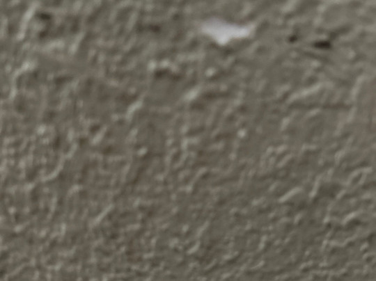 Quality Inn & Suites Canton, GA主图