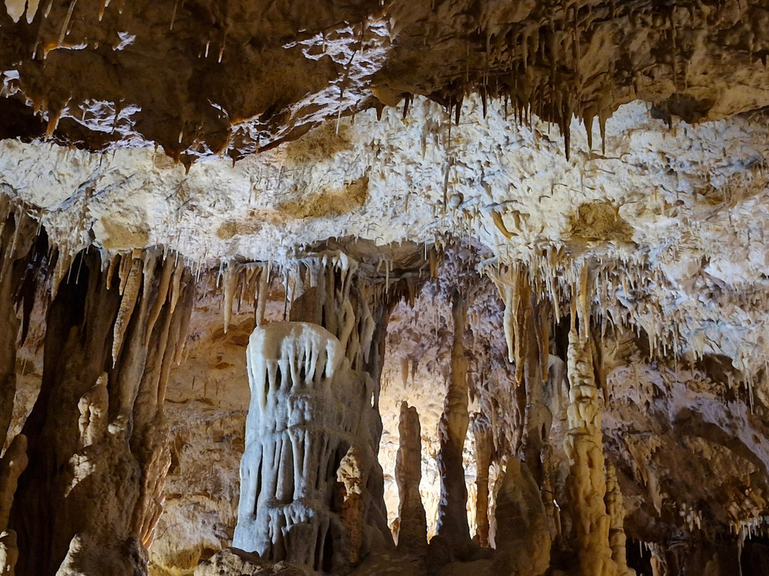 Grotte de Foissac-Foissac必去景点