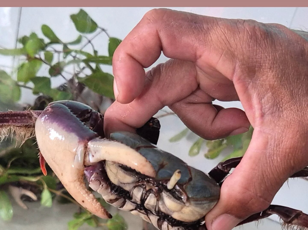 Cururupe Beach-Ilheus必去景点