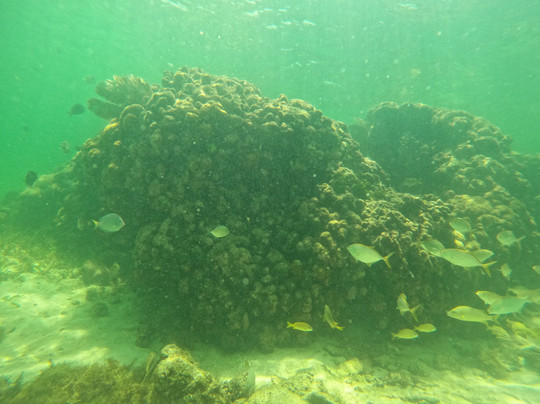 La Tempestad Tours-Mahahual必去景点