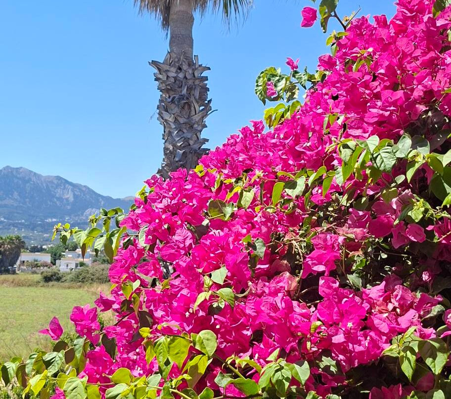 Irina Beach Hotel主图