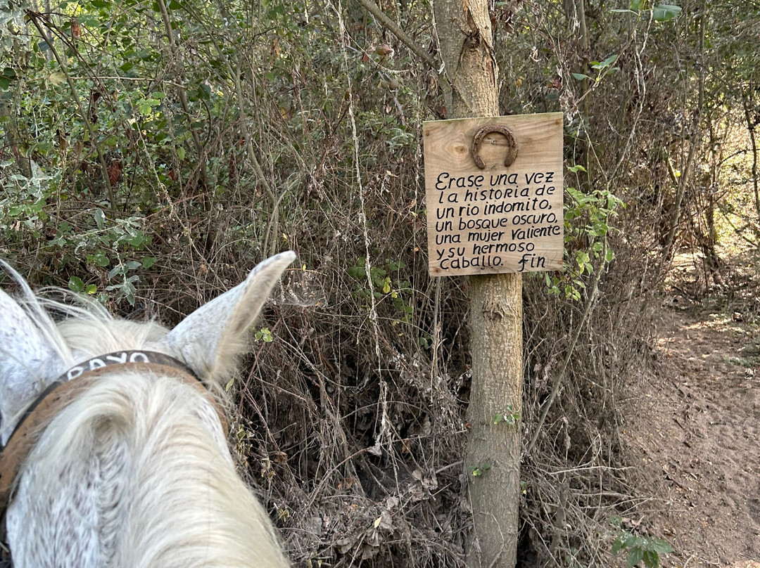 Caballos de la Ribera-Huerta必去景点