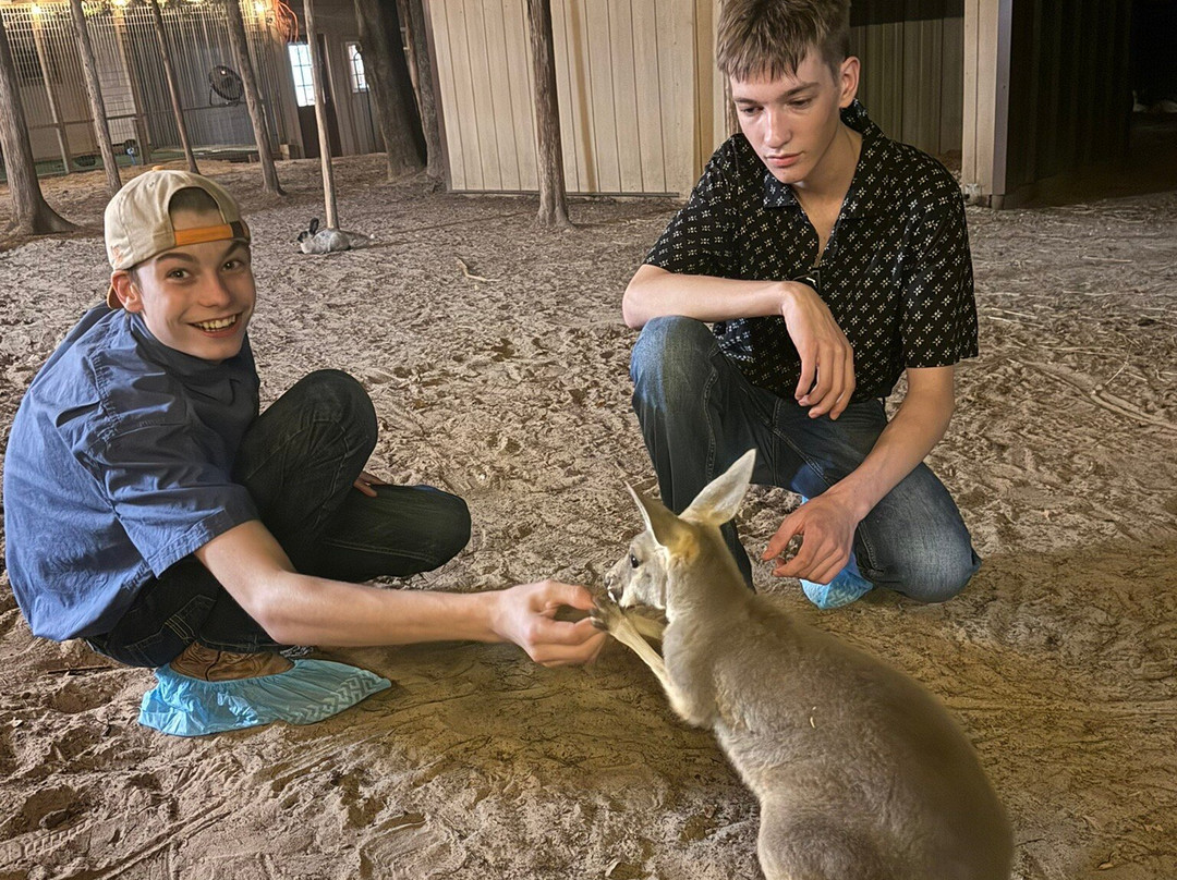 Oak Meadow Ranch-Valley View必去景点