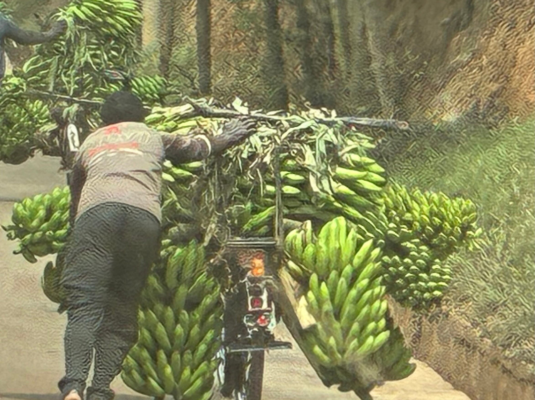 Lets Go Tours Rwanda-吉佳利必去景点