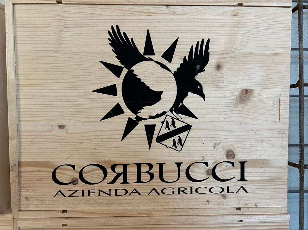 Corbucci Wine Tasting-圣吉米尼亚诺必去景点