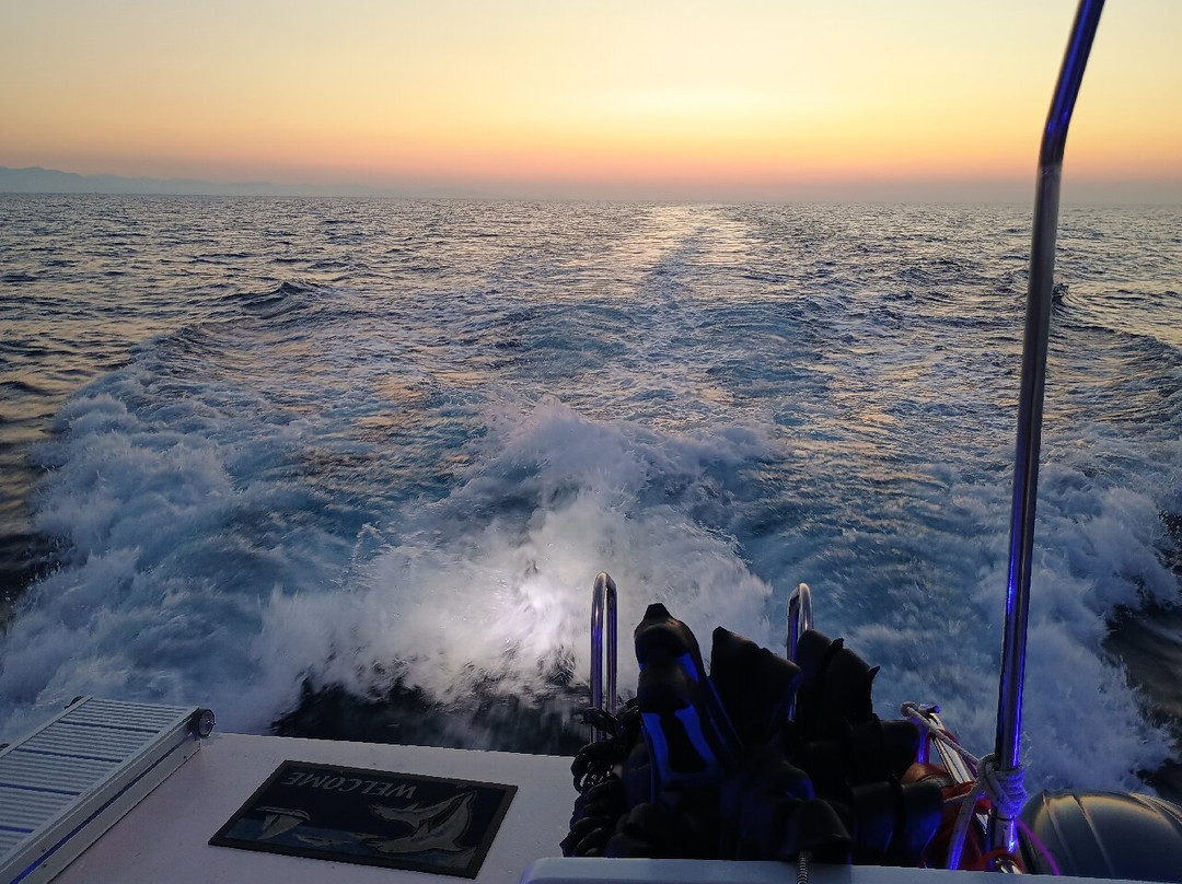 Marina Service Cefalu-切法卢必去景点