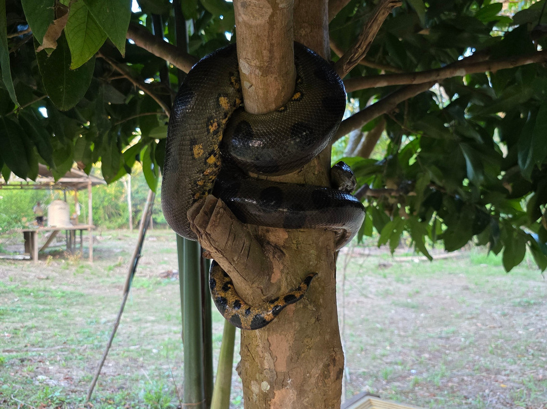 Jairo Mejia Prado-伊基托斯必去景点